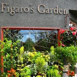 Figaro's Garden